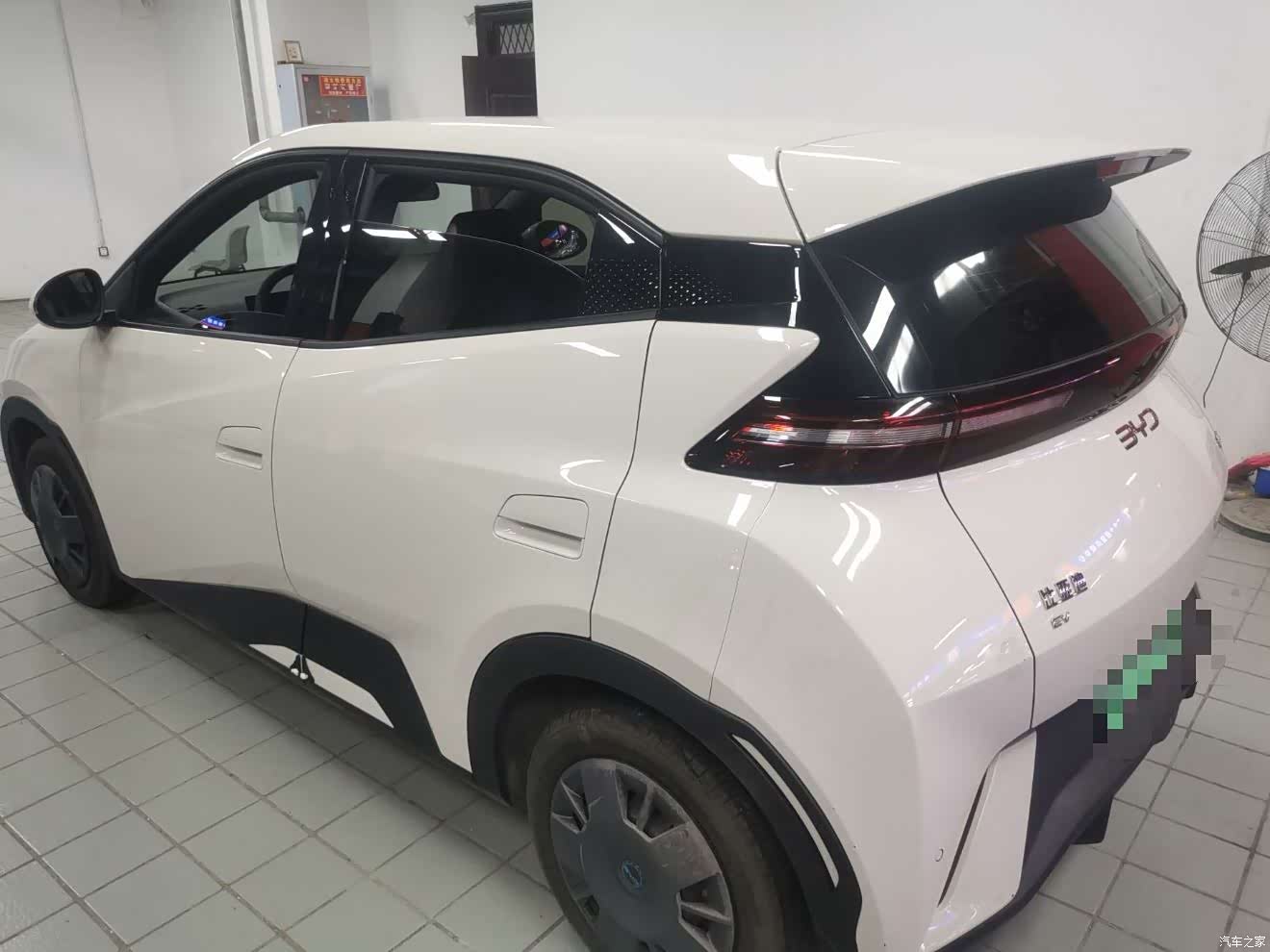 BYD Seagull, 2024 6