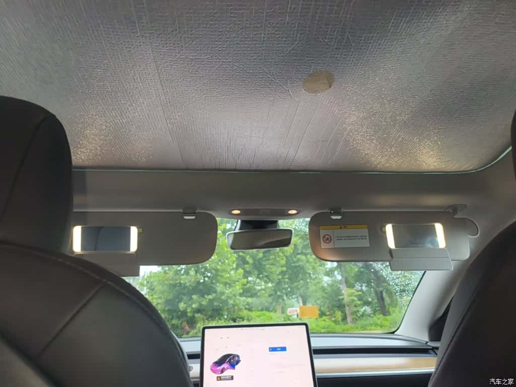 Tesla Model 3, 2021 18