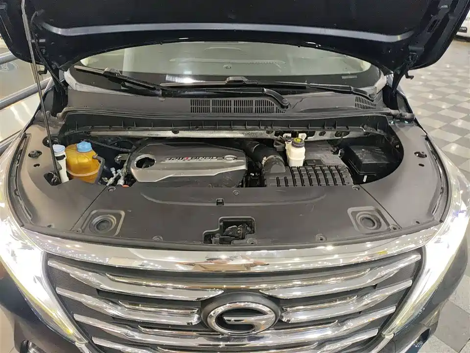 Trumpchi Trumpchi M8