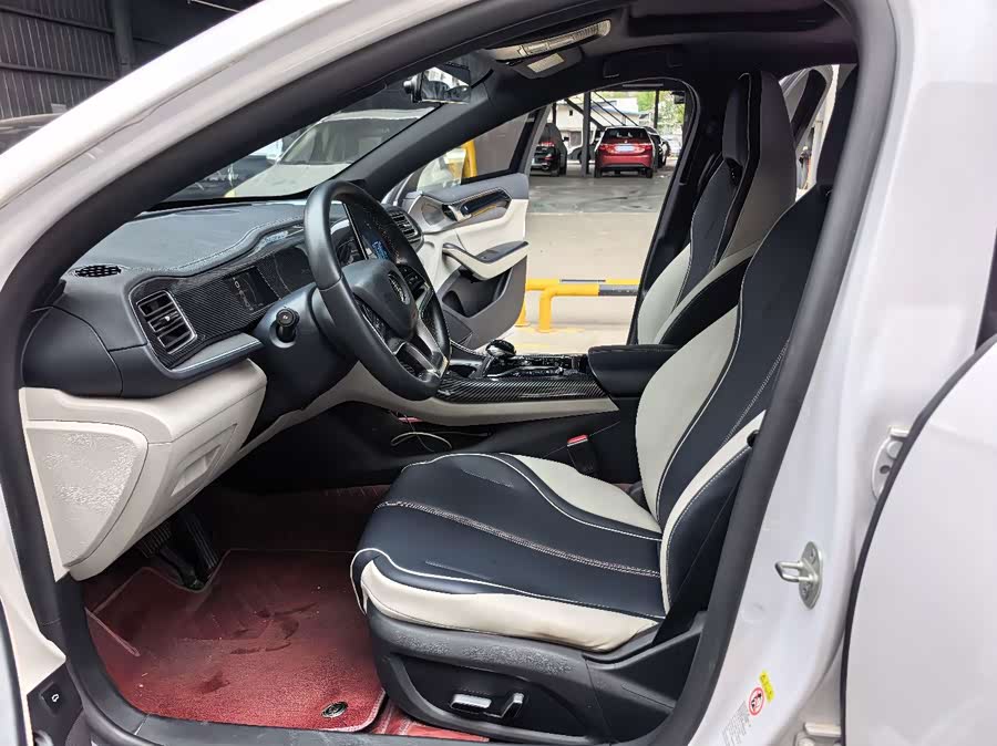 BYD Qin PLUS 2021, фото 13