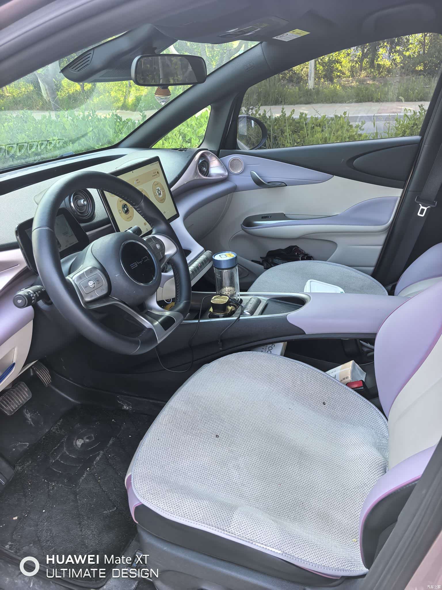BYD Dolphin, 2022 8