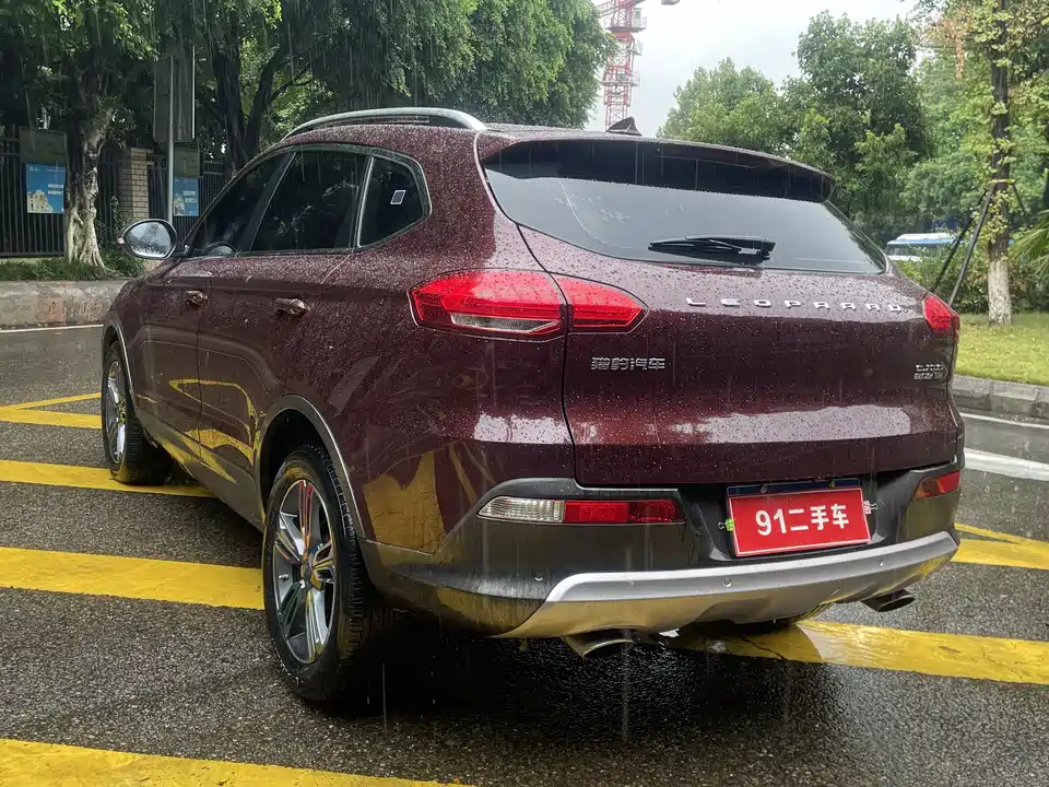 Leopaard Cheetah CS10