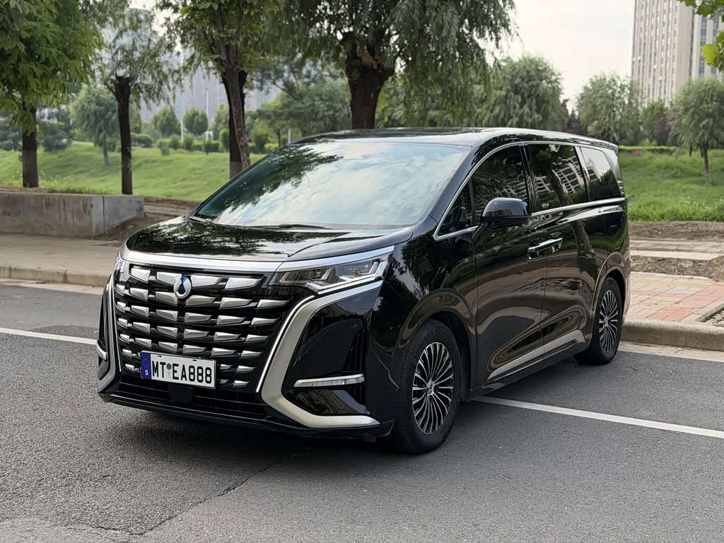 Denza D9