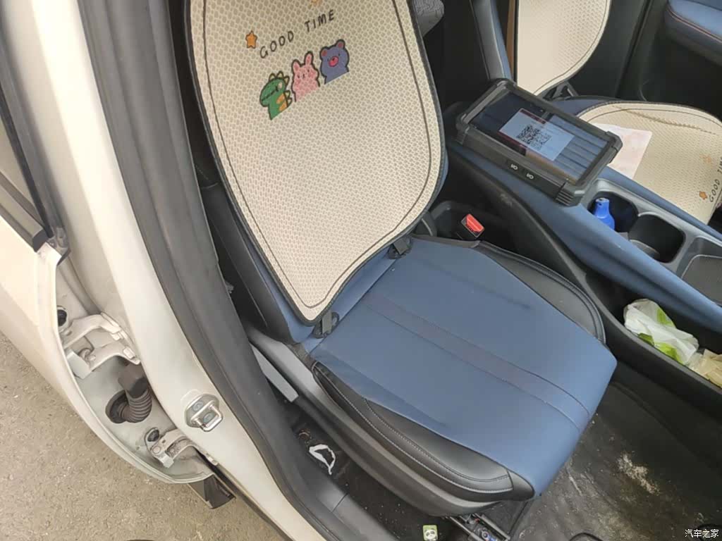 BYD Seagull, 2024 25