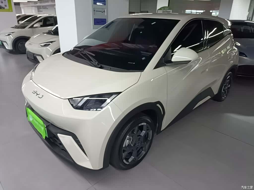 BYD Seagull, 2025 2