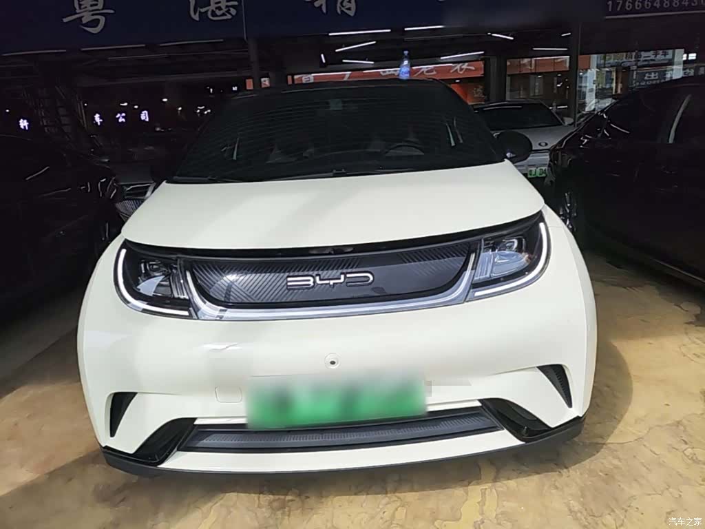 BYD Dolphin, 2023 3