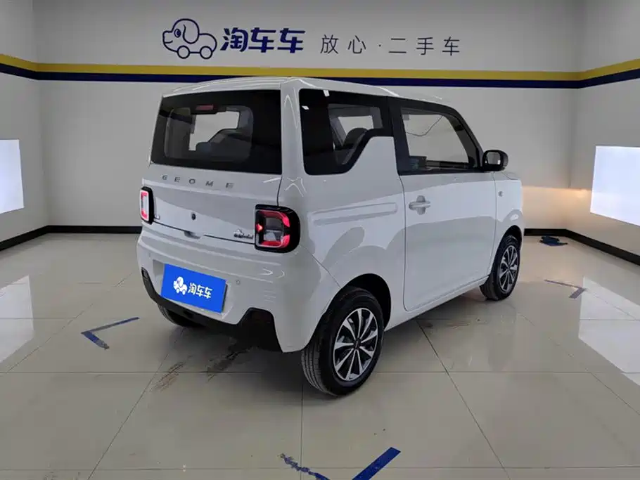 Geely Galaxy panda