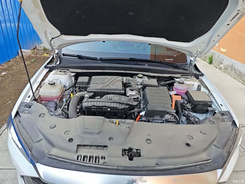 BYD Qin, 2024 19