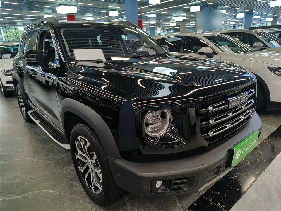 Haval Big dog