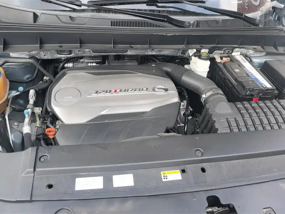 Trumpchi Trumpchi GS8