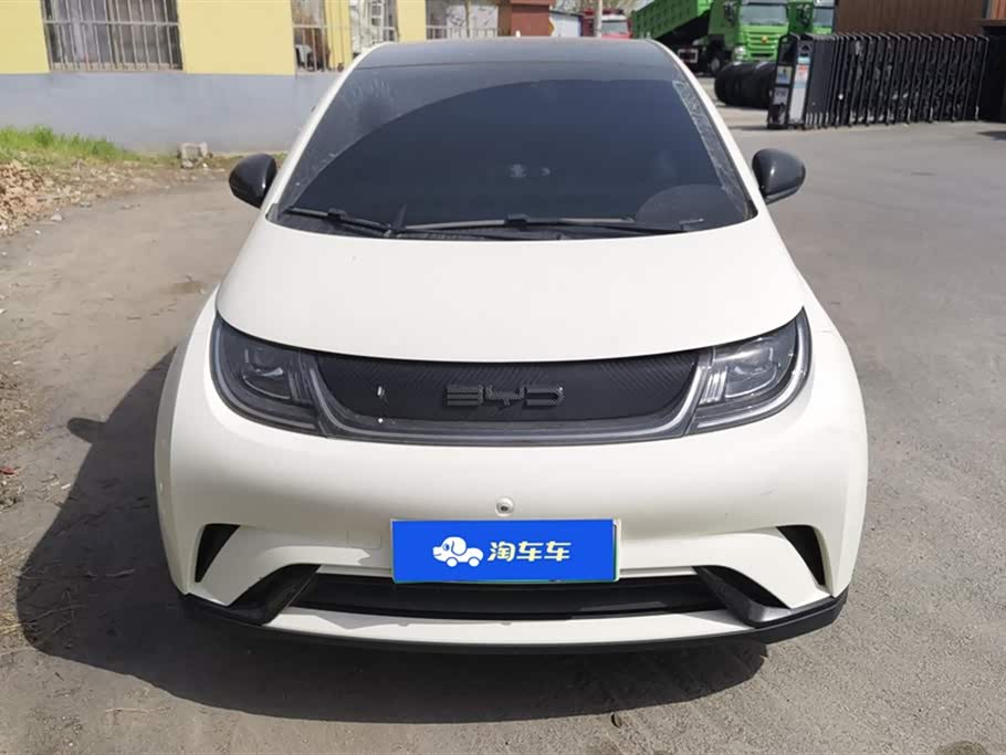 BYD dolphin