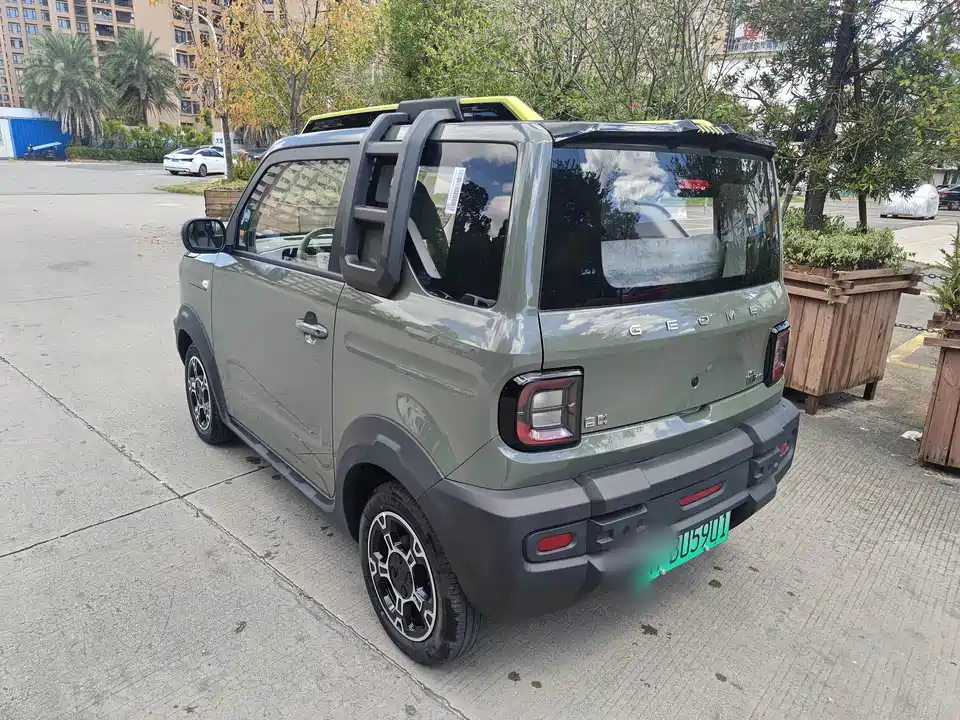 Geely Galaxy panda