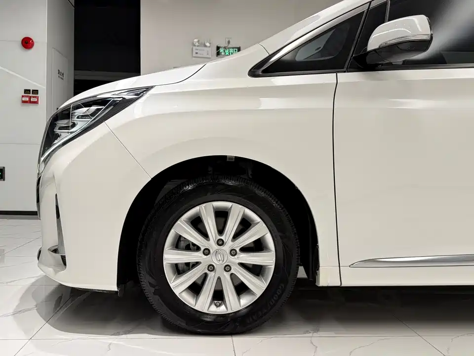 Trumpchi Trumpchi M8