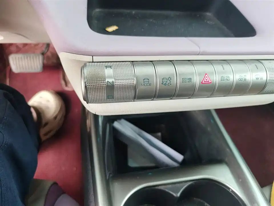 BYD dolphin