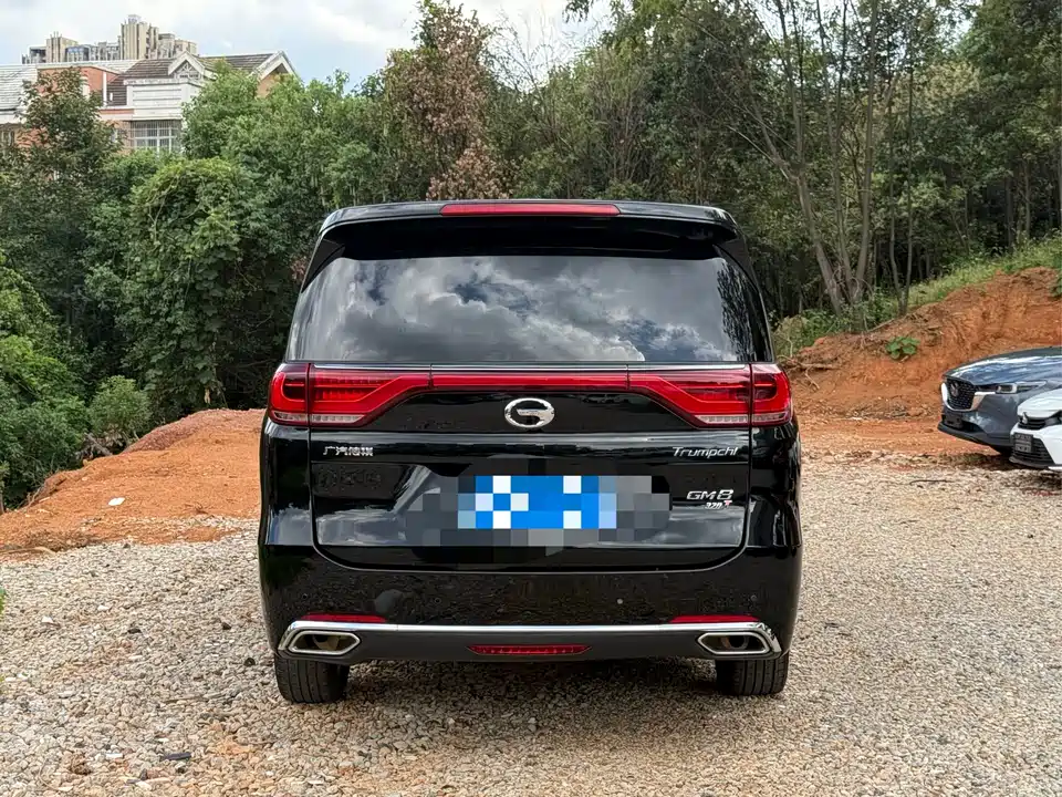 Trumpchi Trumpchi M8