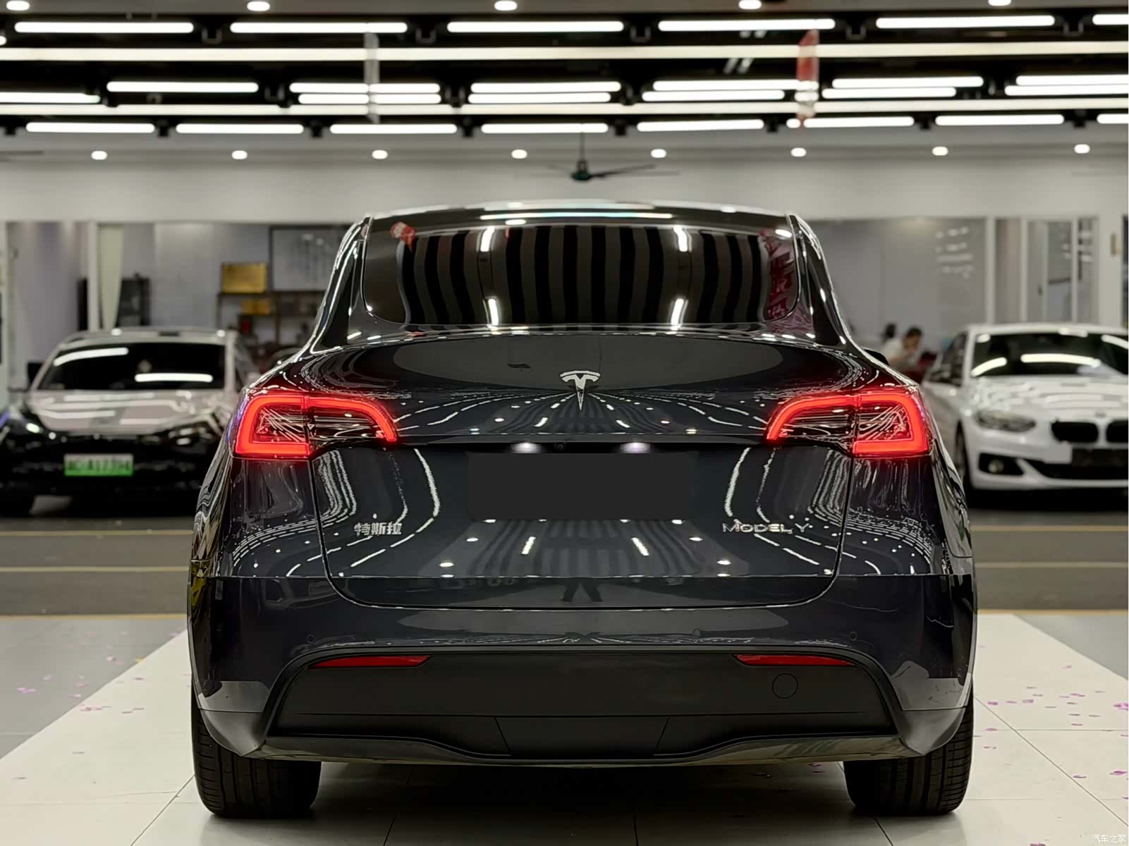 Tesla Model Y, 2022 все фото