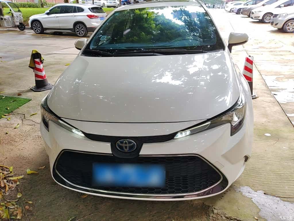Toyota Levin, 2019 3