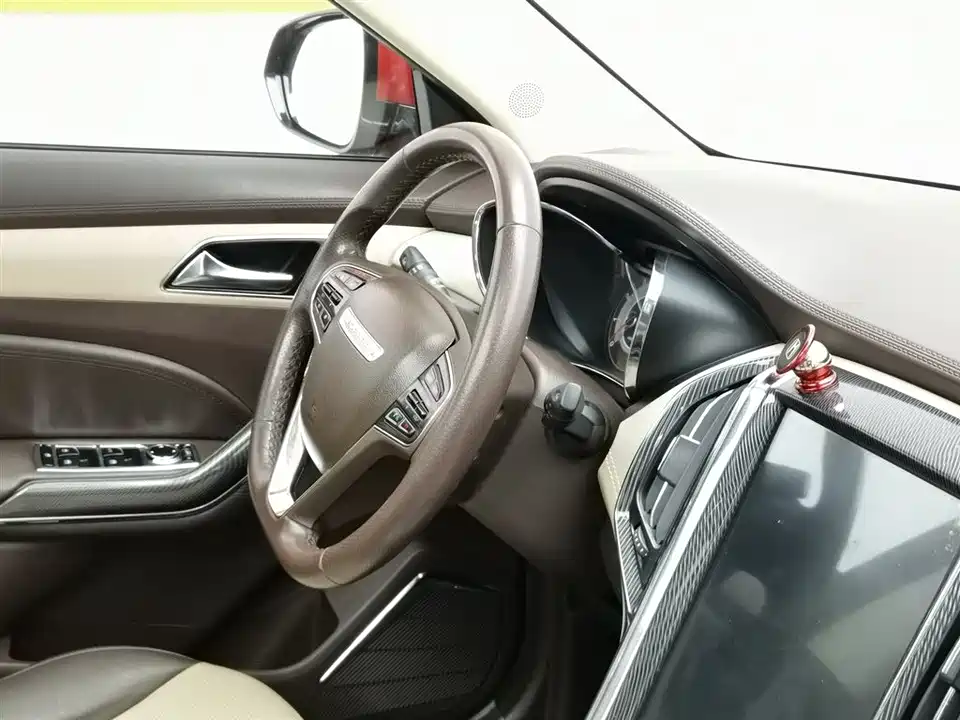 Leopaard Cheetah CS9