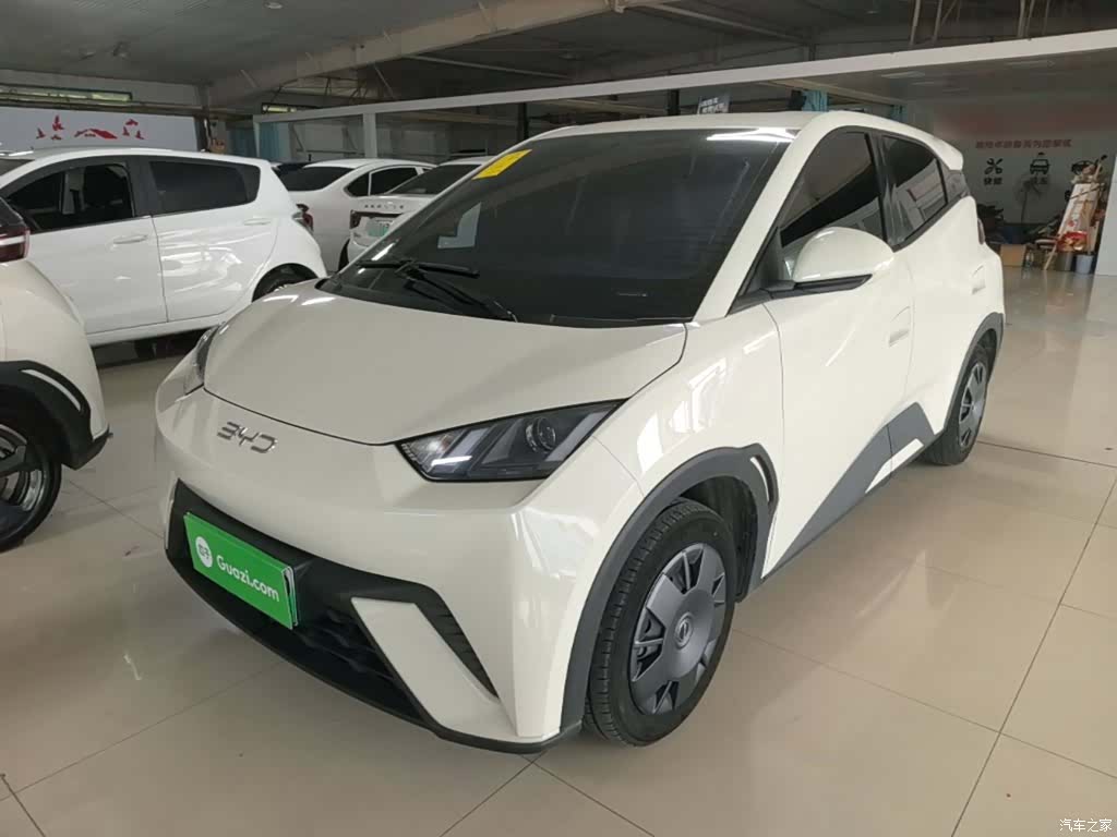BYD Seagull, 2024 2