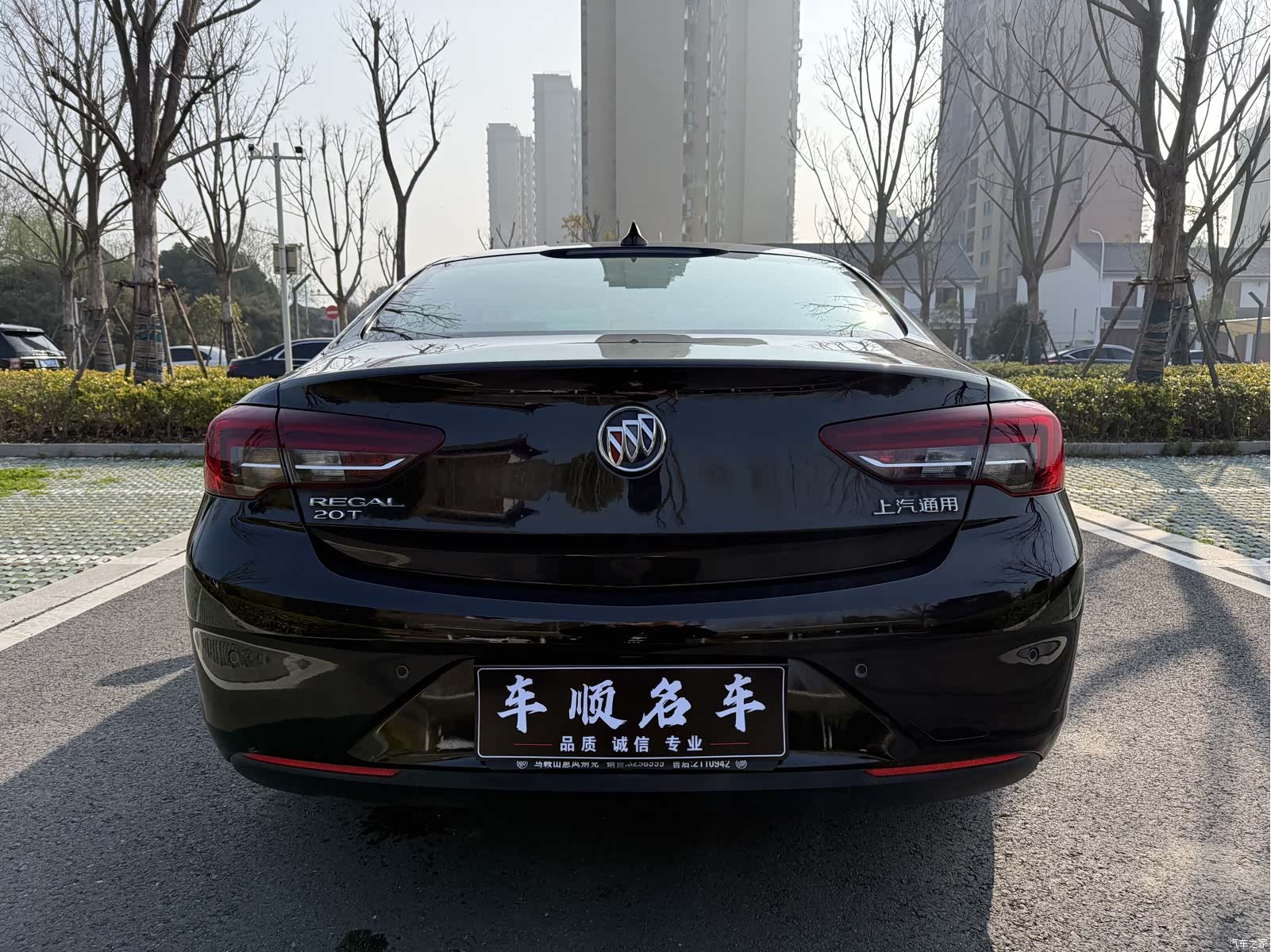 Buick Regal, 2020 6