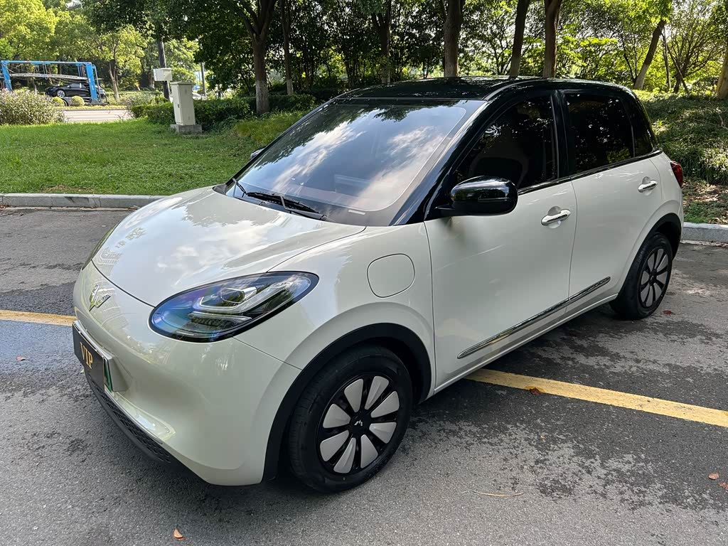 Wuling Binguo