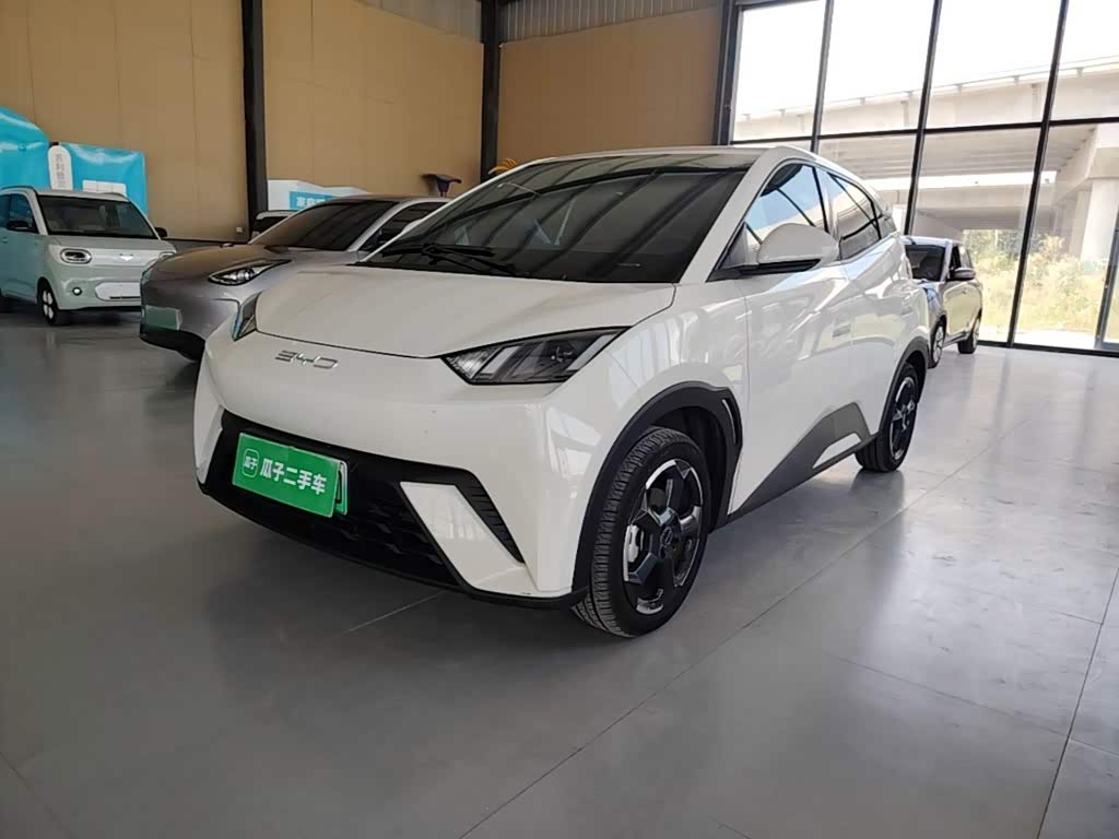 BYD Seagull