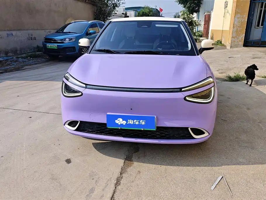 Dongfeng Nammi Nano 01