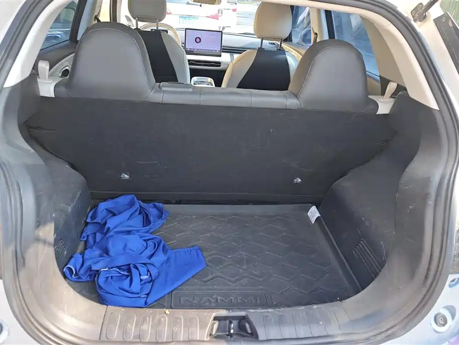 Dongfeng Nammi Nano 01