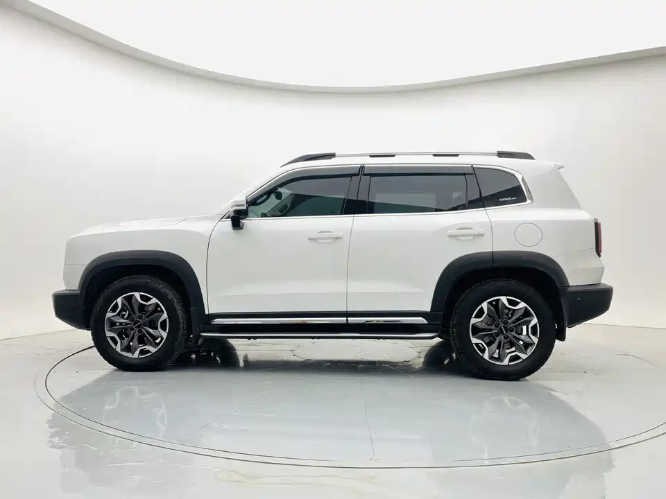 Haval Big dog