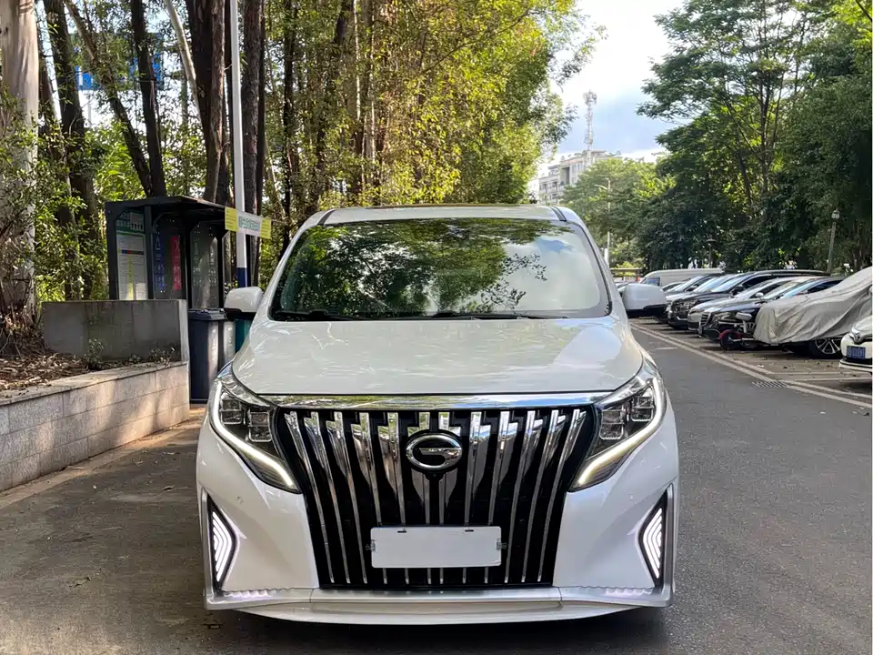 Trumpchi Trumpchi M8