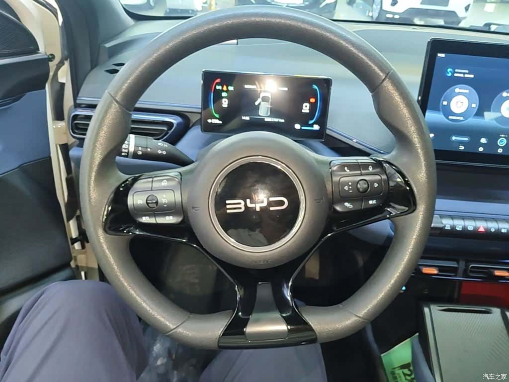BYD Seagull, 2025 10