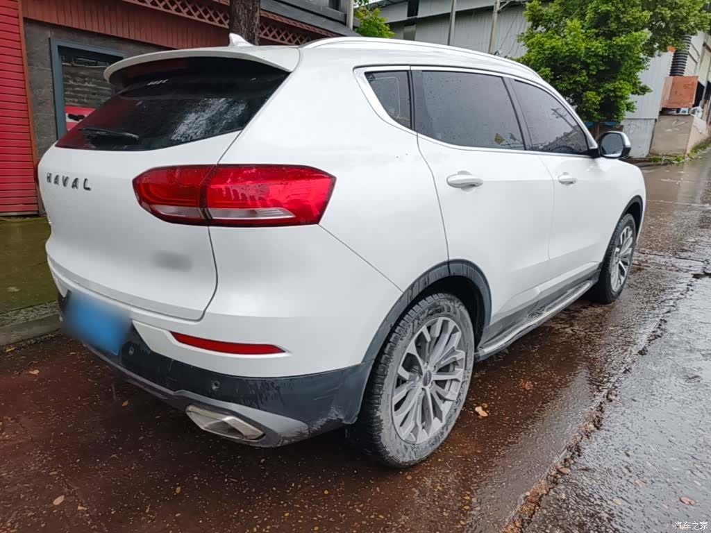 Haval H6, 2019 все фото
