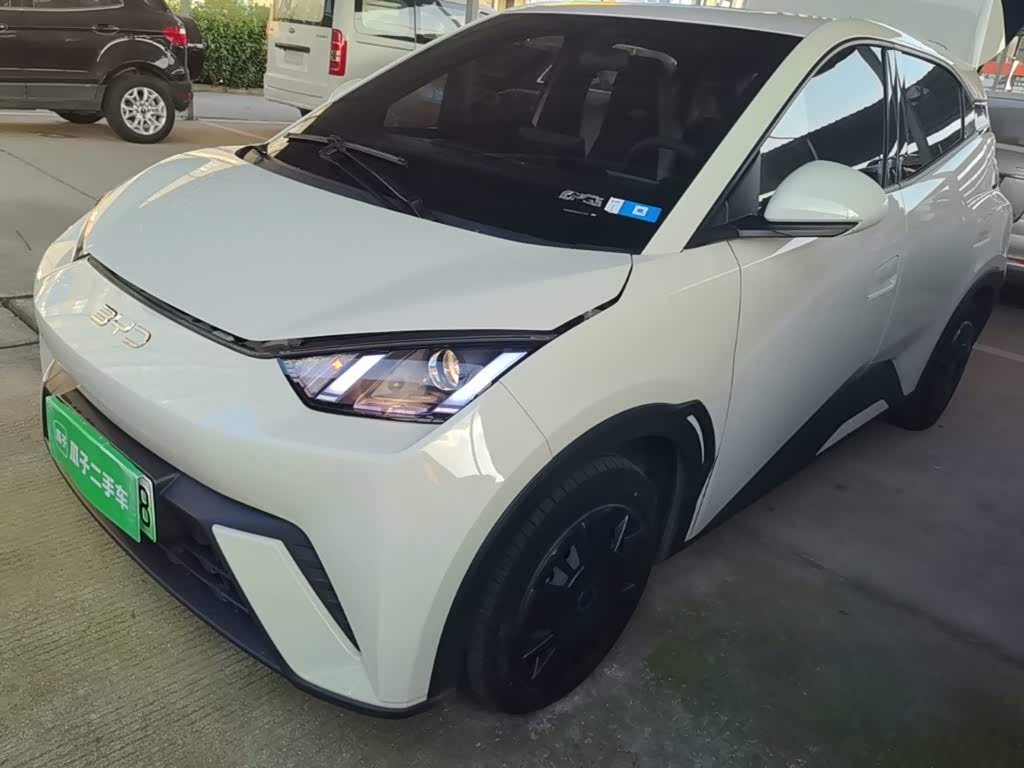 BYD Seagull