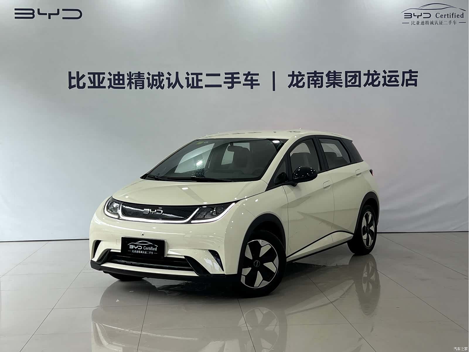 BYD Dolphin, 2026 1