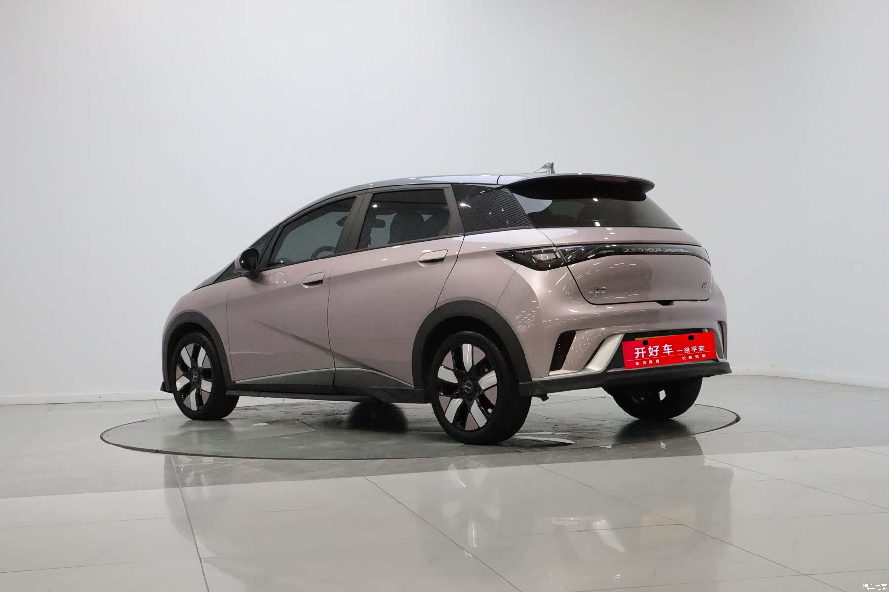 BYD Dolphin, 2022 3