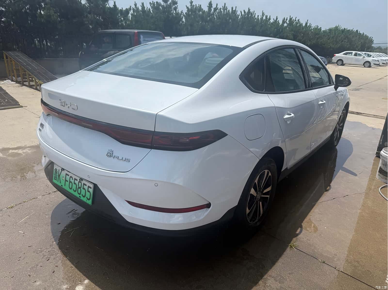 BYD Qin, 2026 все фото