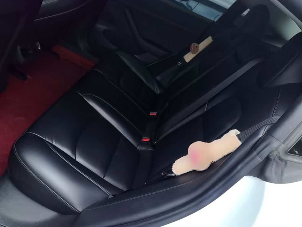 Tesla Model 3, 2020 17