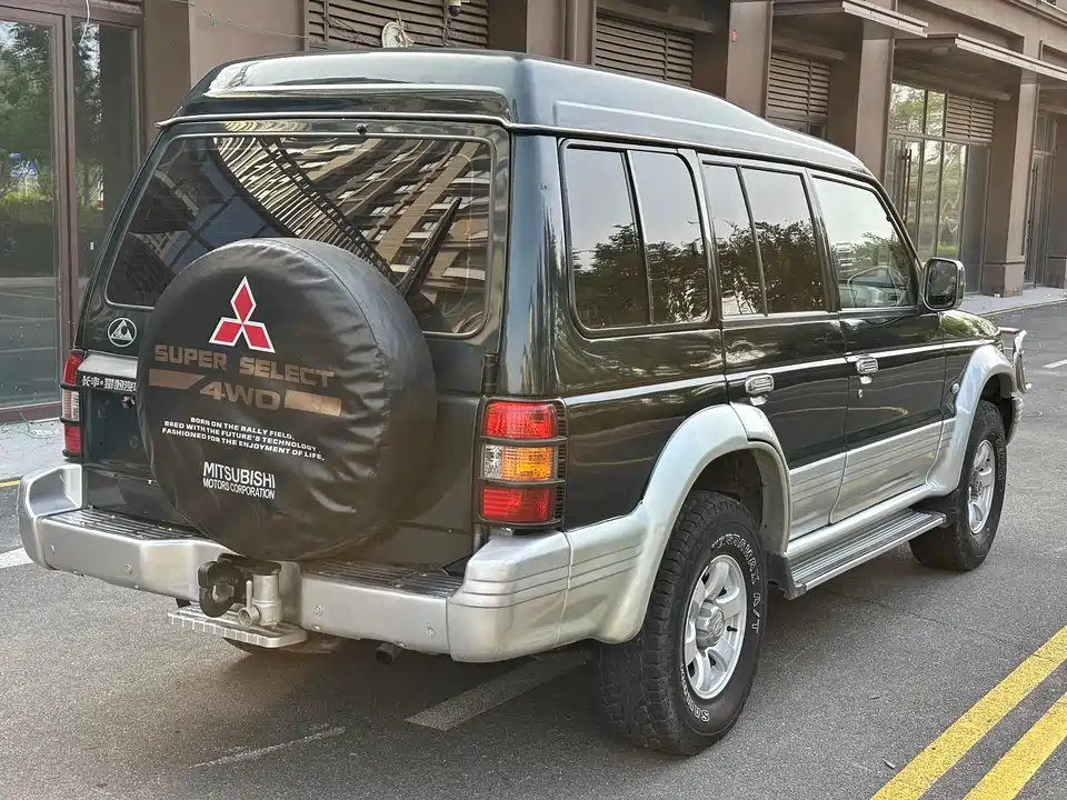 Leopaard Cheetah 6481