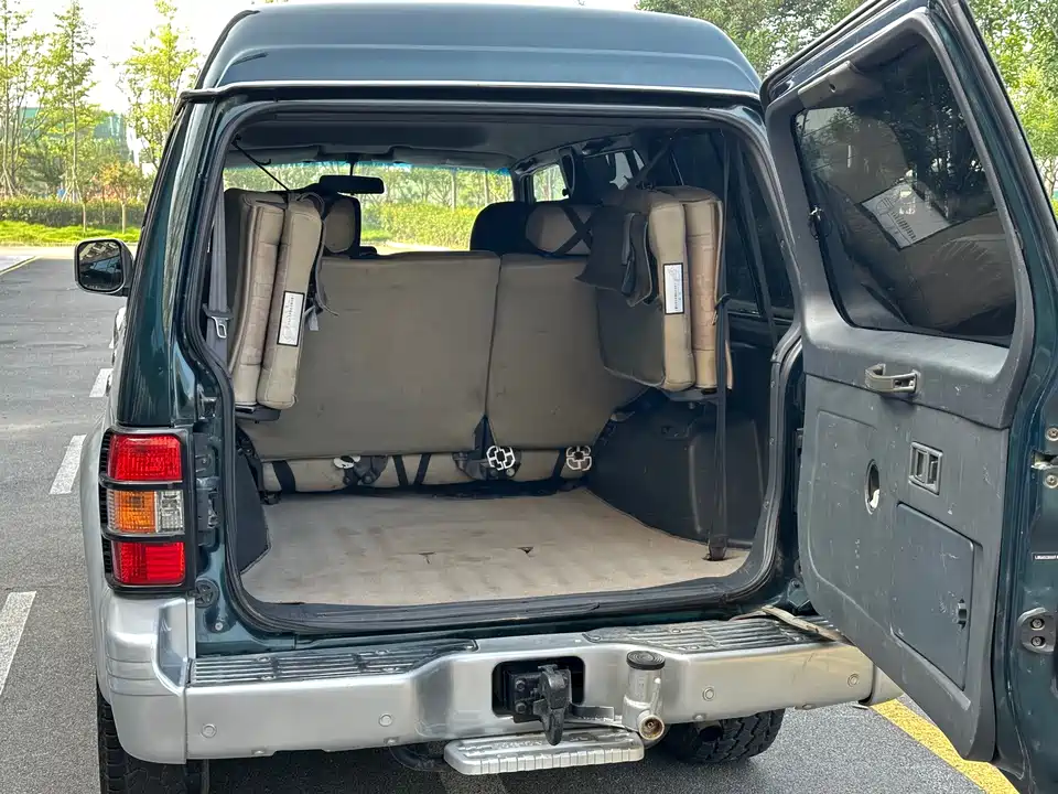 Leopaard Cheetah 6481