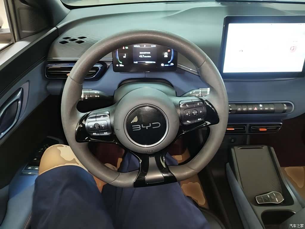 BYD Seagull, 2025 11