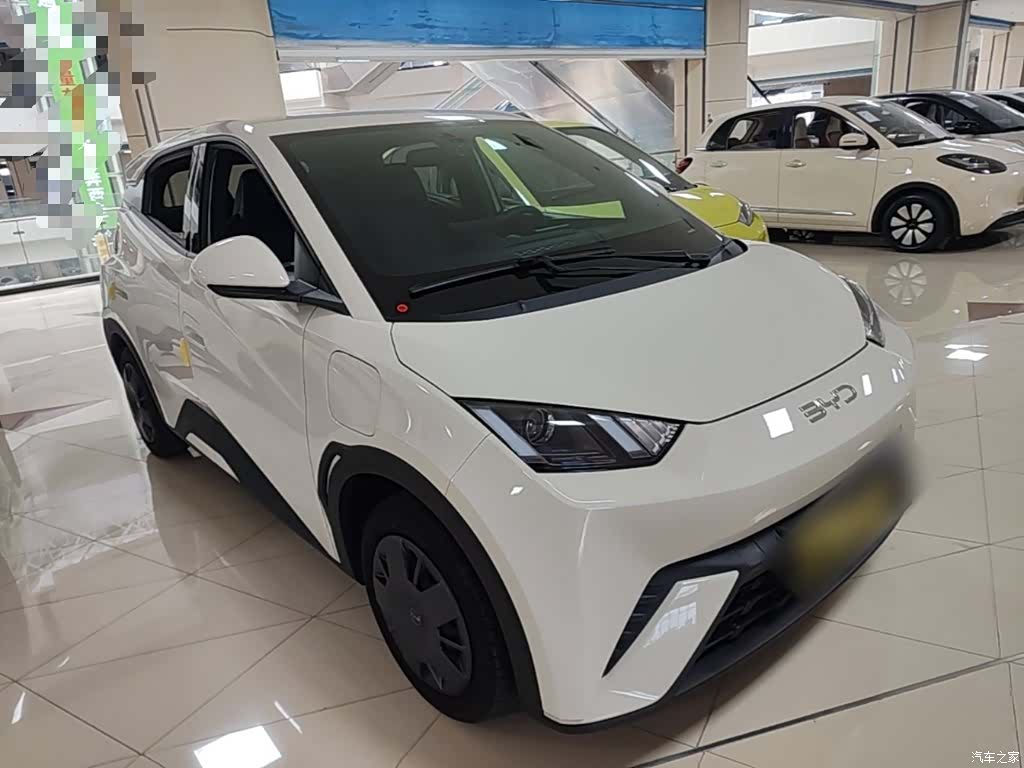 BYD Seagull, 2025 4