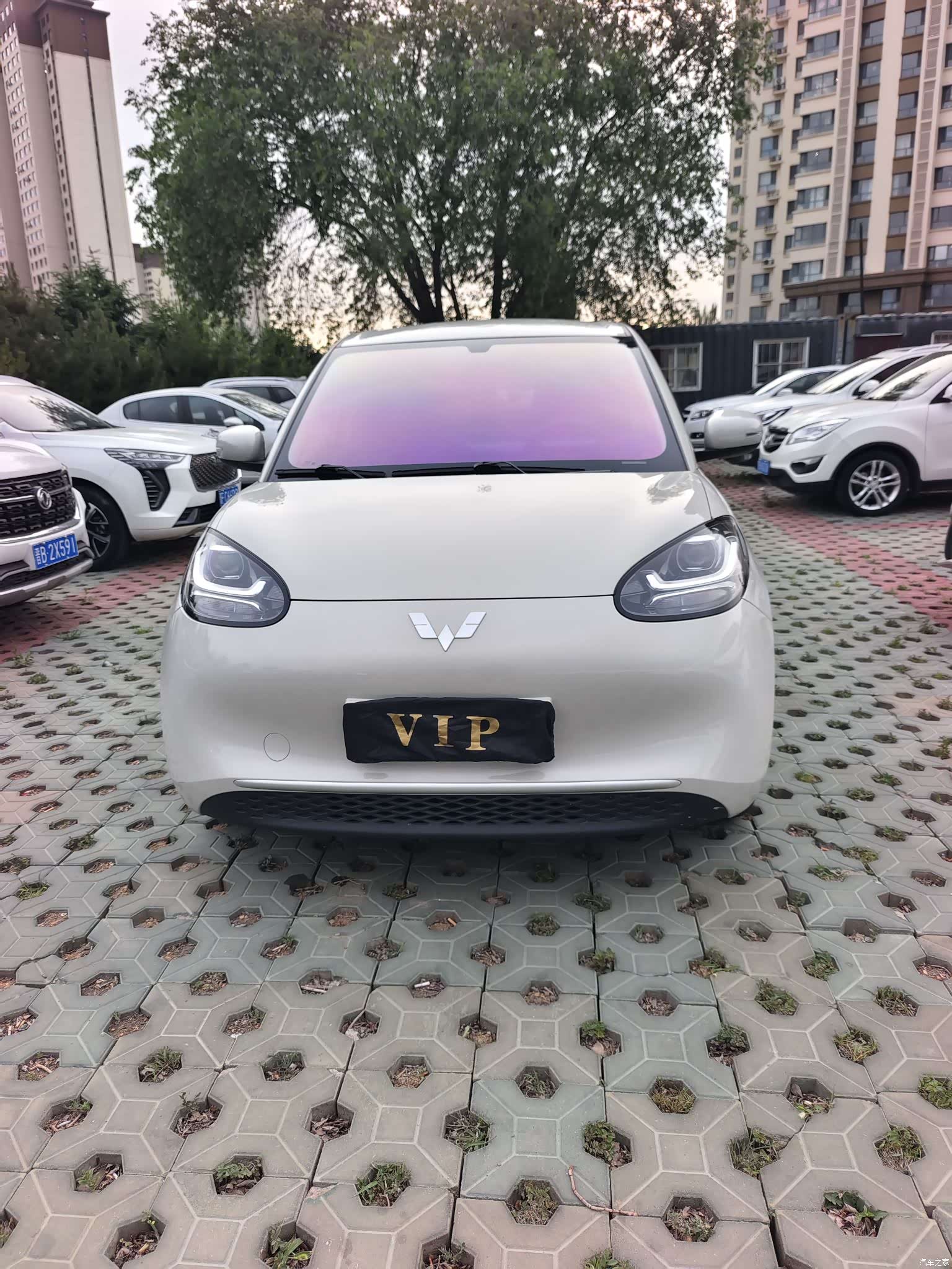 Wuling Bingo, 2024 2