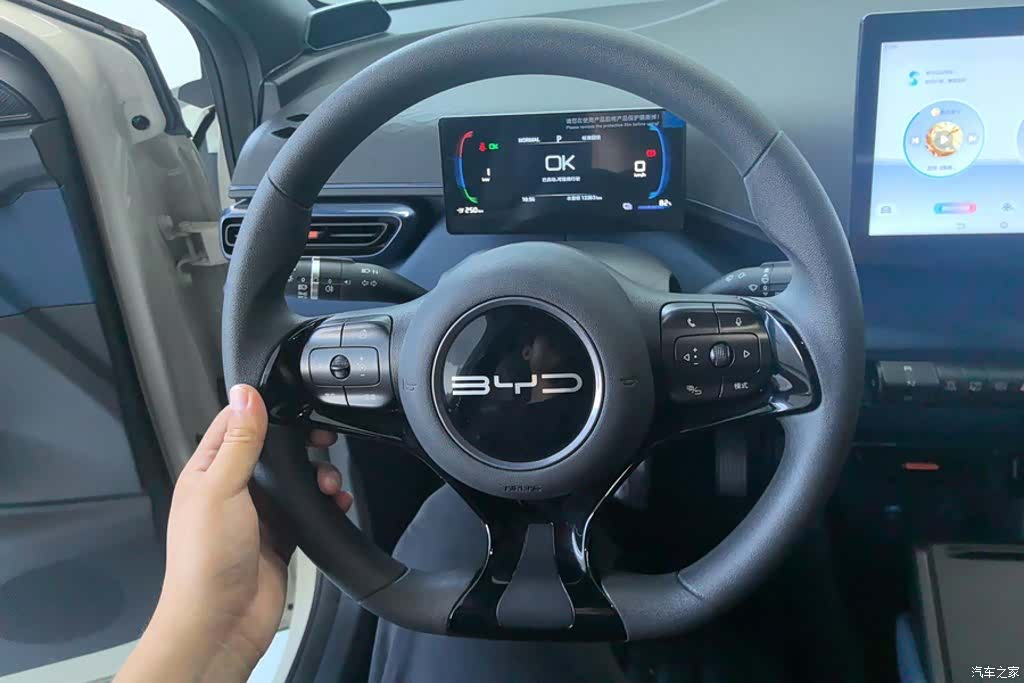 BYD Seagull, 2024 15
