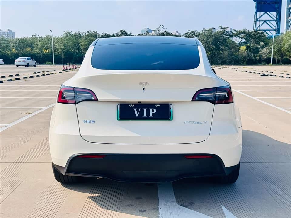Tesla Model Y Tesla Model Y