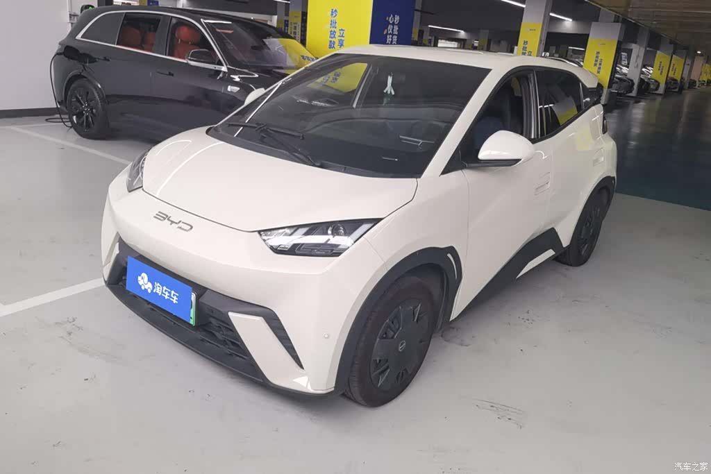BYD Seagull, 2024 1
