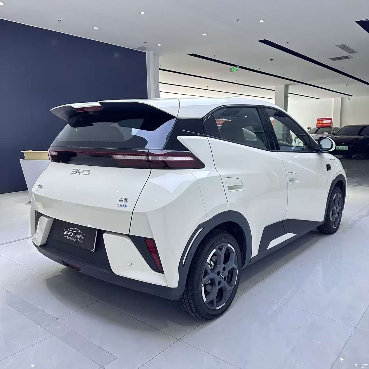 BYD Seagull, 2025 12