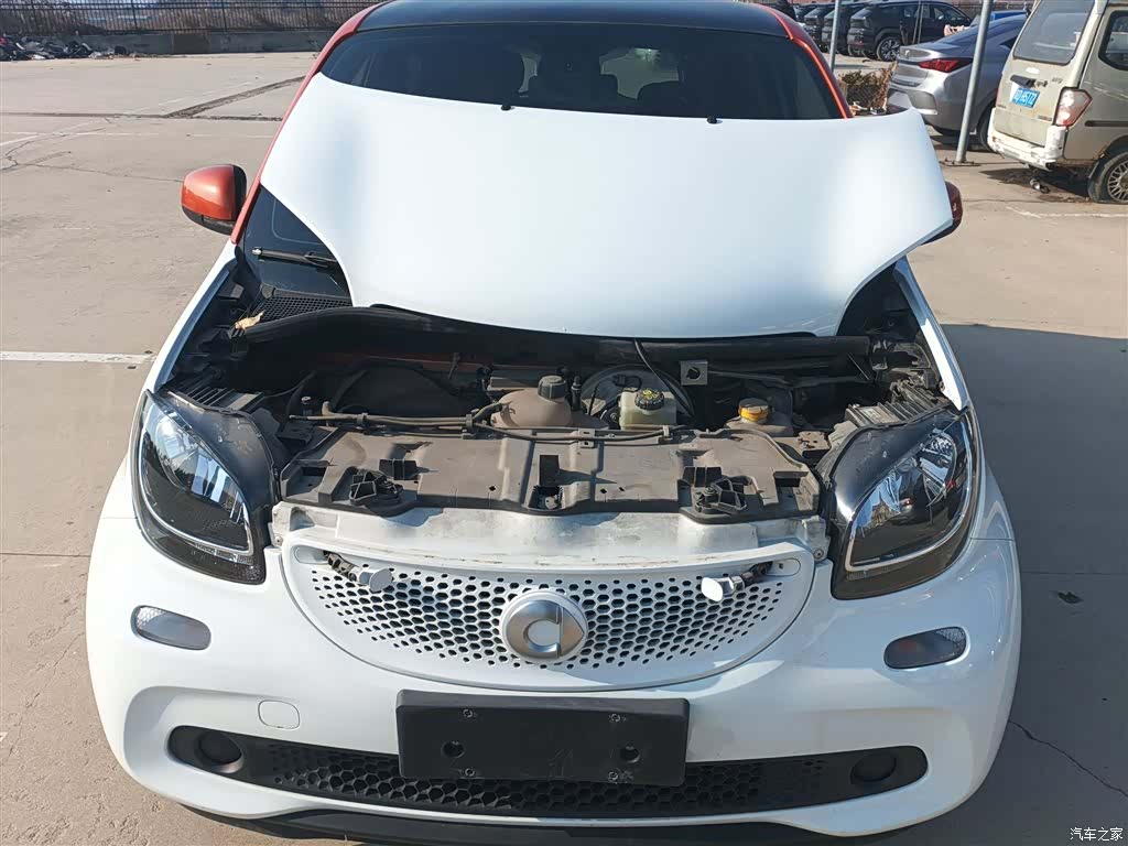 Smart Forfour, 2016 10