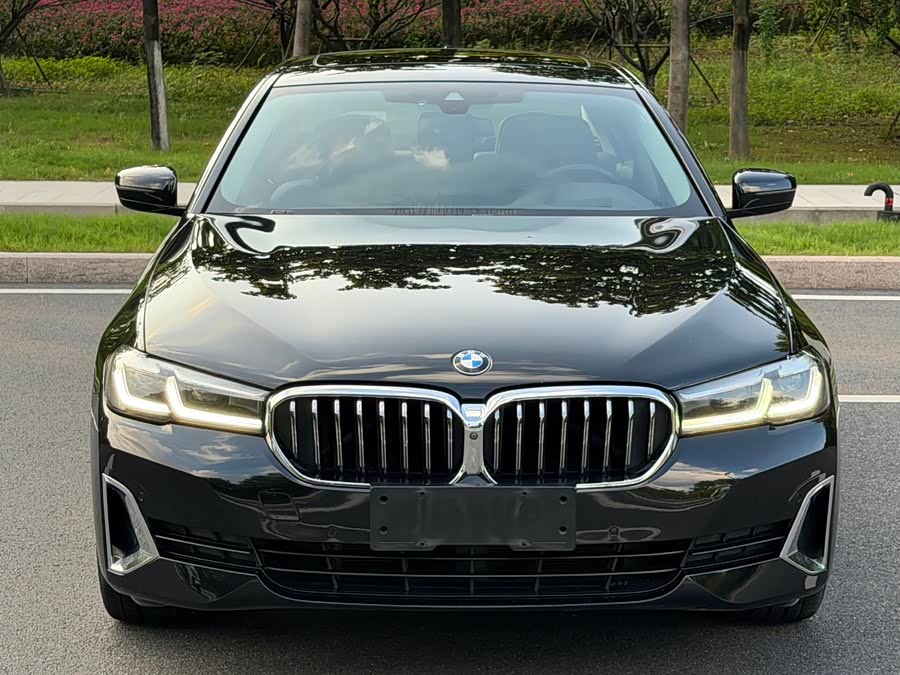 BMW 5 Series 2021, фото 2