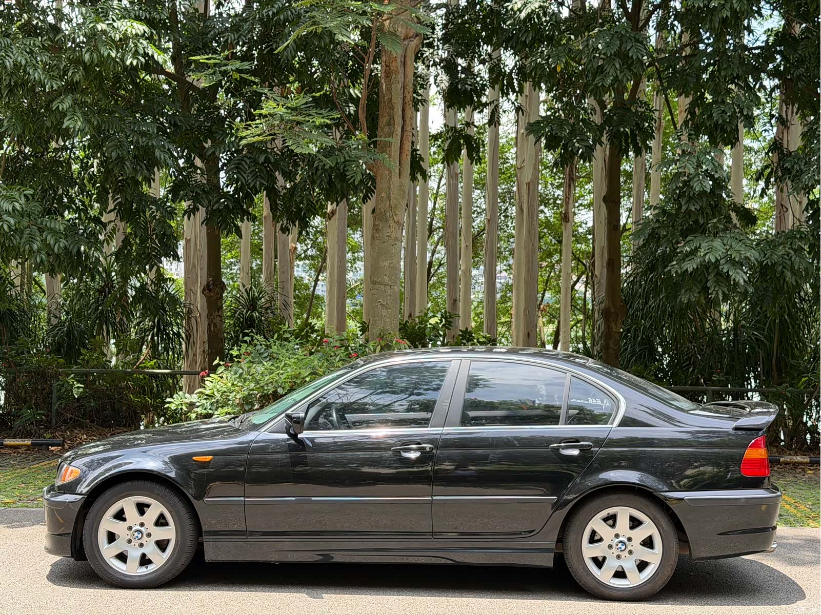 BMW 3 Series, 2005 2