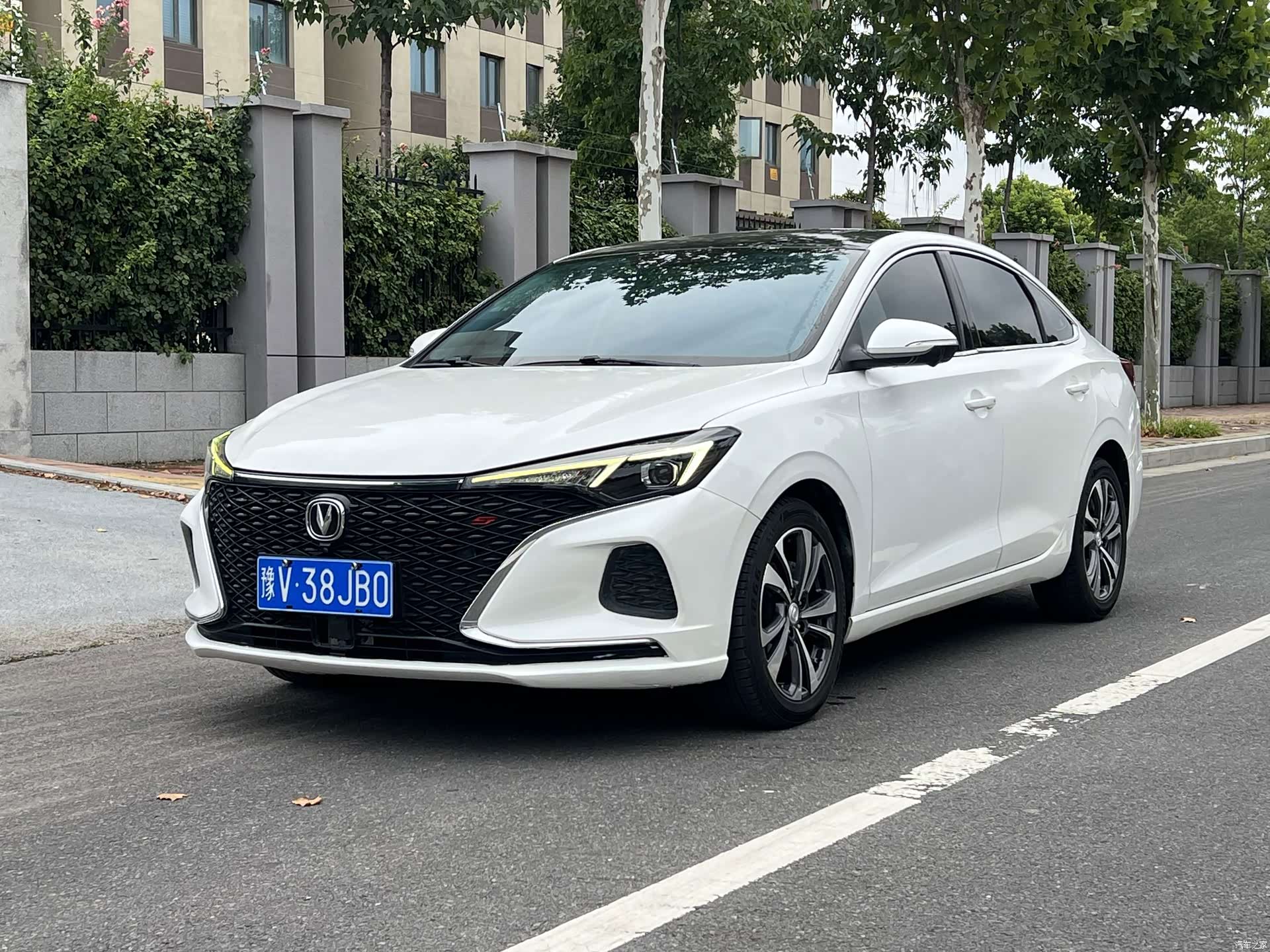 Changan Eado, 2020 1